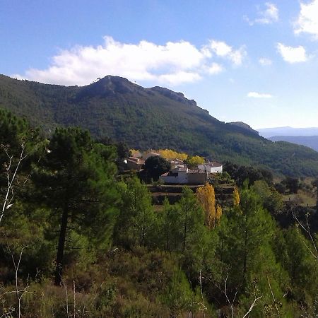 Las Encinas Yeste Bagian luar foto