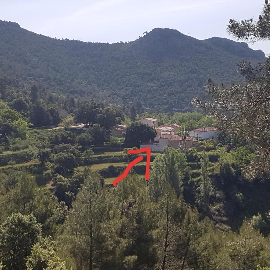 Las Encinas Yeste Bagian luar foto