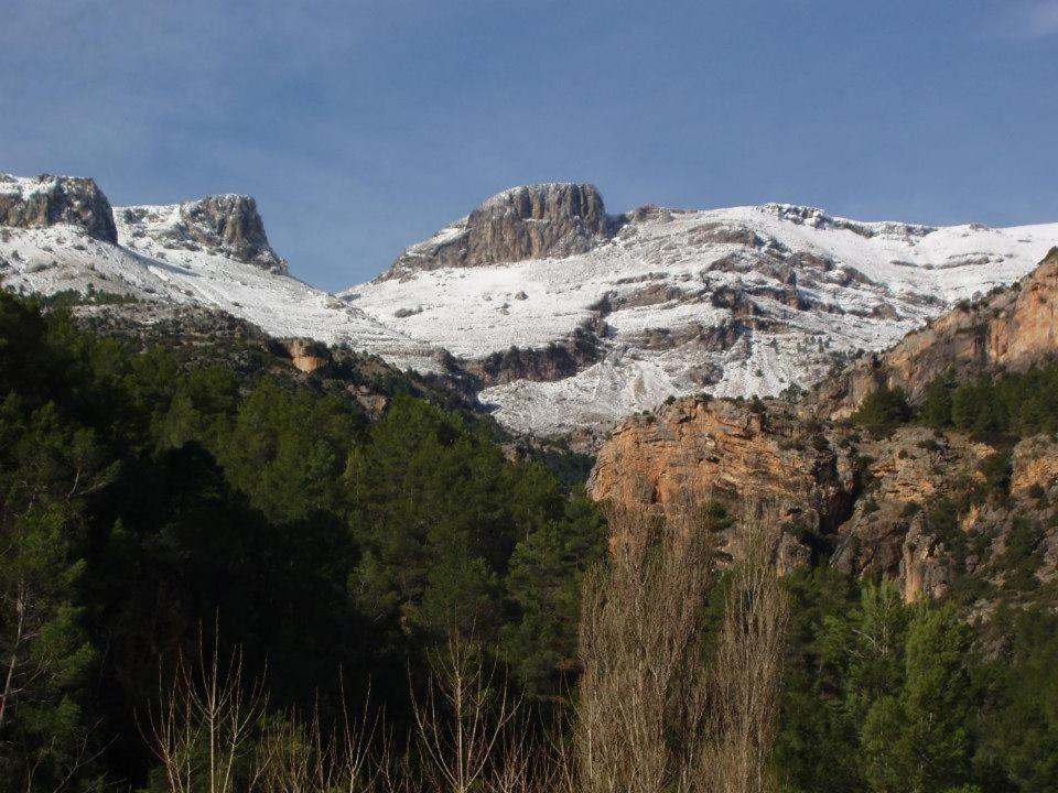 Las Encinas Yeste Bagian luar foto