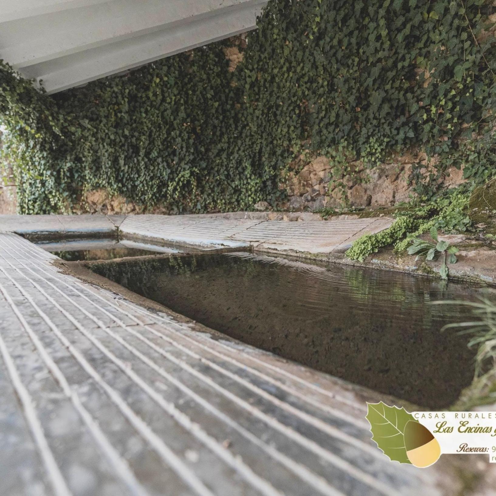 Las Encinas Yeste Bagian luar foto
