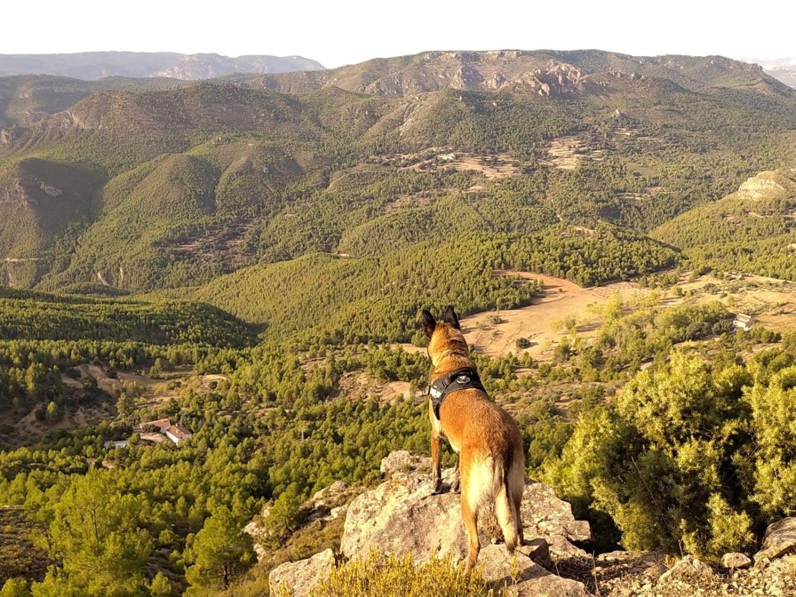 Las Encinas Yeste Bagian luar foto